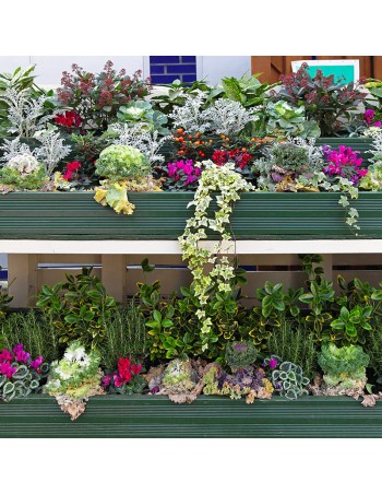Fleurs fraîches à la botte