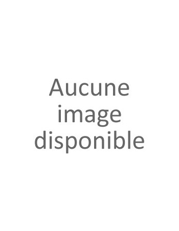 Bouquet de Roses Bleues